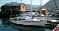 FLAMENCA 25